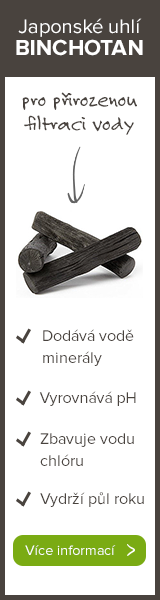 160x600-binchotan.png